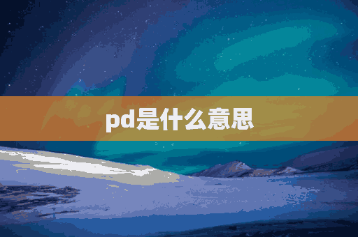 pd是什么意思(pd是什么意思化学元素)